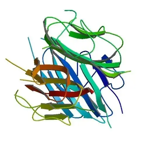 The human hormone Adiponectin controls metabolism.
