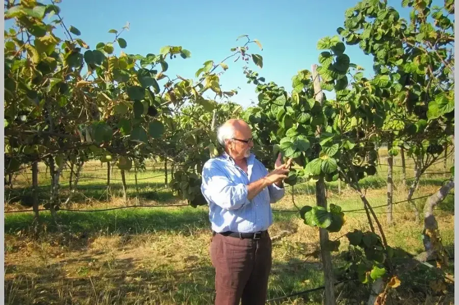 Field trials of the Osmotin-rich plants in Italy.